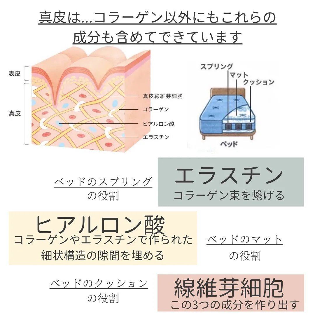 【真皮を整えて！たるみ/シワ/しみ予防】